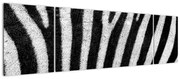 Obraz skóry zebry (170x50 cm)