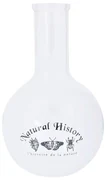 Szklany wazon (wysokość 23 cm) Natural History – Esschert Design