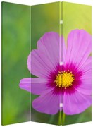 Parawan - Kwiat polny (126x170 cm)