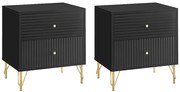 Zestaw 2 szafek nocnych z 2 szufladami - Czarny - LUREO