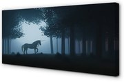 Obraz na płótnie Las noc jednorożec