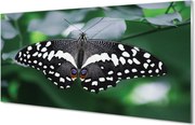 Panel Szklany Motyl na Zielonych Liściach