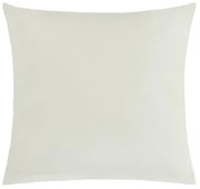 Bellatex Poszewka na poduszkę szary jasny, 50 x 50 cm