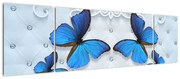 Obraz - Niebieskie motyle (170x50 cm)
