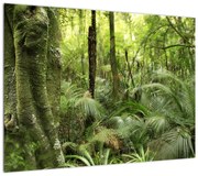 Obraz tropikalnego lasu deszczowego (70x50 cm)