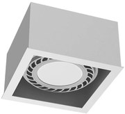 Brosline 1272 - Oprawa punktowa CAGE 1xGU10/18W/230V biała