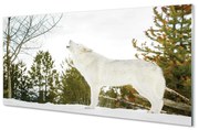 Panel Szklany Wilk zima las