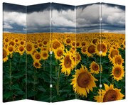 Parawan - Pole słoneczników (210x170 cm)