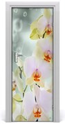Naklejka samoprzylepna okleina na drzwi Orchidea