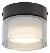 Nowoczesna lampa sufitowa czarna z przydymionym szkłem - Puck