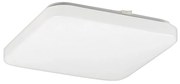 Rabalux 2287 - LED Plafon ROB 1xLED/32W/230V kanciasty