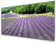 Panel Kuchenny Łąka Kwiaty Natura Roślina