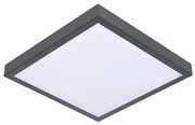 Plafon VITAL 2xE27/60W/230V antracyt