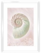 Plakat Pastel Pink III