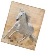 BedTex Koc mikroplyš Koń Bělouš, 130 x 160 cm