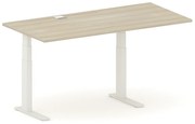 Biurko z regulacją wysokości FUTURE, 170x80 cm, 2 silniki, biały/dąb