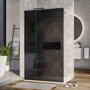 Parawan prysznicowy Walk-In Nano EX101