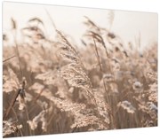 Obraz - Łąkowy wianek (70x50 cm)