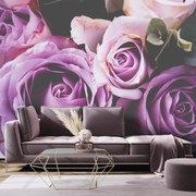 Fototapeta - Ruże (196x136 cm)