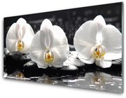 Obraz Akrylowy Kwiat Biała Orchidea