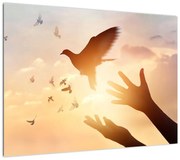 Obraz - Mała gołębico, leć! (70x50 cm)