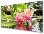 Obraz Akrylowy Kwiaty Roślina Natura