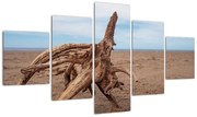 Obraz - Zmyte przez morze (125x70 cm)