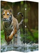 Parawan - Biegnący tygrys (126x170 cm)