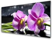 Obraz Akrylowy Kwiaty Roślina Natura