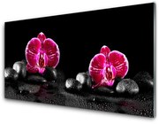 Panel Kuchenny Orchidea do Pokoju