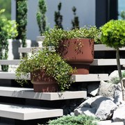 Donica ogrodowa z wkładem Milly 39,5 x 39,5 x 35 cm miedziany PROSPERPLAST