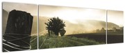 Obraz łąki (170x50 cm)