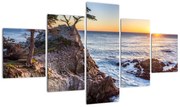 Obraz - Wybrzeże Pacyfiku (125x70 cm)