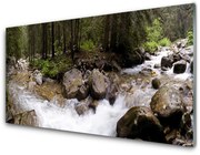 Panel Szklany Las Rzeka Wodospady