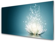 Obraz Akrylowy Kwiat Lotosu Roślina