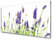 Panel Kuchenny Kwiaty Na Ścianę