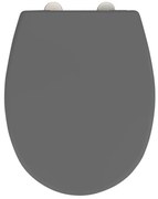 WENKO 24572100-WC deska sedesowa VORNO NEO 46x37 cm szara/srebrna