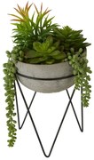 Sztuczny sukulent (wysokość 36 cm) Fiori – Premier Housewares