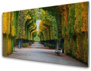 Panel Kuchenny Park Jesień Ogród Natura