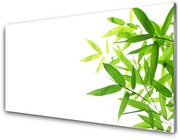 Panel Kuchenny Liście Natura Roślina