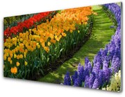 Panel Szklany Kwiaty Ogród Tulipany