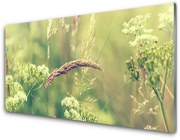 Obraz Akrylowy Dzikie Rośliny Natura