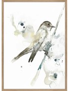 Obraz 50x70 cm Bird 2 – Malerifabrikken