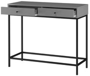 Szara konsola 35x90 cm Celine – Støraa