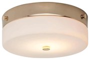 Elstead TAMAR-F-M-PG-LED Plafon łazienkowy TAMAR 1xGX53/5,7W/230V IP44
