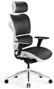 Fotel ergonomiczny Diablo V-Commander: Biało-Czarny