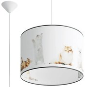 Lampa z motywem kotów do pokoju dziecięcego - A591 S9-K96
