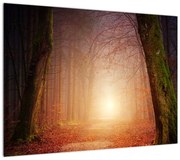 Obraz jesiennego lasu we mgle (70x50 cm)