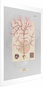 Plakat Tajemnicze drzewko 60x90 cm bez ramy z marginesem ARTGEIST B