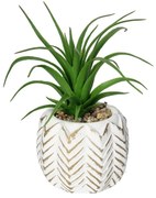Dekoracja Aloes II 14cm